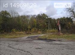 main photo - 103705