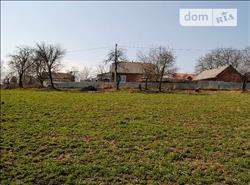 main photo - 103707