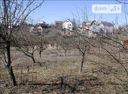 main photo - 103709
