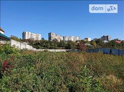 main photo - 103711