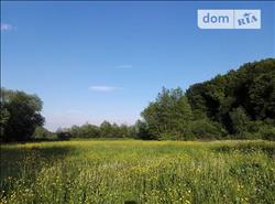 main photo - 104621