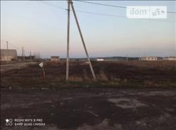 main photo - 105979