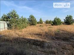 main photo - 108590
