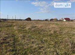 main photo - 108969