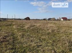 main photo - 108970