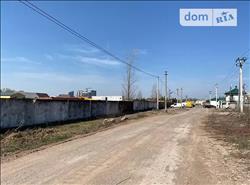 main photo - 109445