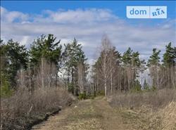 main photo - 110240