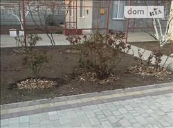 main photo - 112798