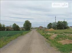 main photo - 113610