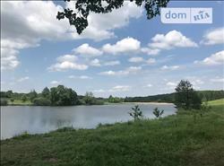 main photo - 113965