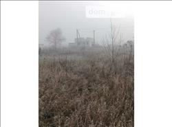 main photo - 114841