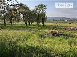 main photo - 115833