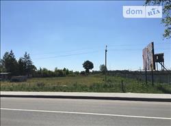 main photo - 116363