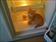 UB image 1094153