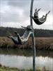 sadovo-parkovaya-skulptura-na-zakaz-veselye-zaytsy-id760267.html Image2066278