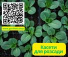 kaseti-dlya-rozsadi-kapusti-optom-ta-v-rozdrib-id772056.html Image2091927