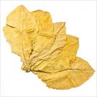 tobacco-leaf-shop-naturalniy-listoviy-tyutyun-nayvishchoy-yakosti-id772452.html Image2092551