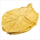 tobacco-leaf-shop-naturalniy-listoviy-tyutyun-nayvishchoy-yakosti-id772452.html Image2092552