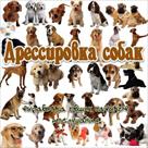 priglashaem-vsekh-vladeltsev-porodistykh-sobak-v-sumskoy-oblastnoy-klub-sobakovodstva-wku-id773595.html Image2095392