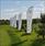 UB image 2095453
