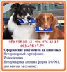 oformlenie-dokumentov-na-zhivotnykh-bystroe-oformlenie-veterinarnaya-spravka-forma-1-f-1-dlya-vyezd-id515912.html Image816099