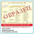 oformlenie-dokumentov-na-sobak-shchenyachi-kartochki-rodoslovnye-klub-id515913.html Image816100